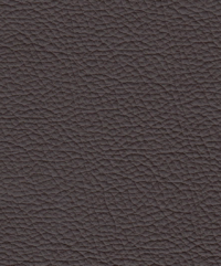 Upholstery Natural brown leather P4 B-Group