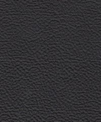 Upholstery Natural leather black P5 B-Group