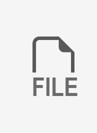 File icon